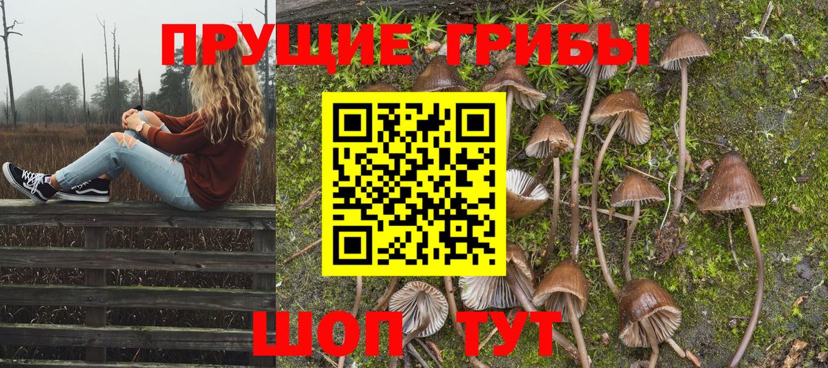 Галлюциногенные грибы Psilocybine cubensis  Вход с VPN  Камышин 